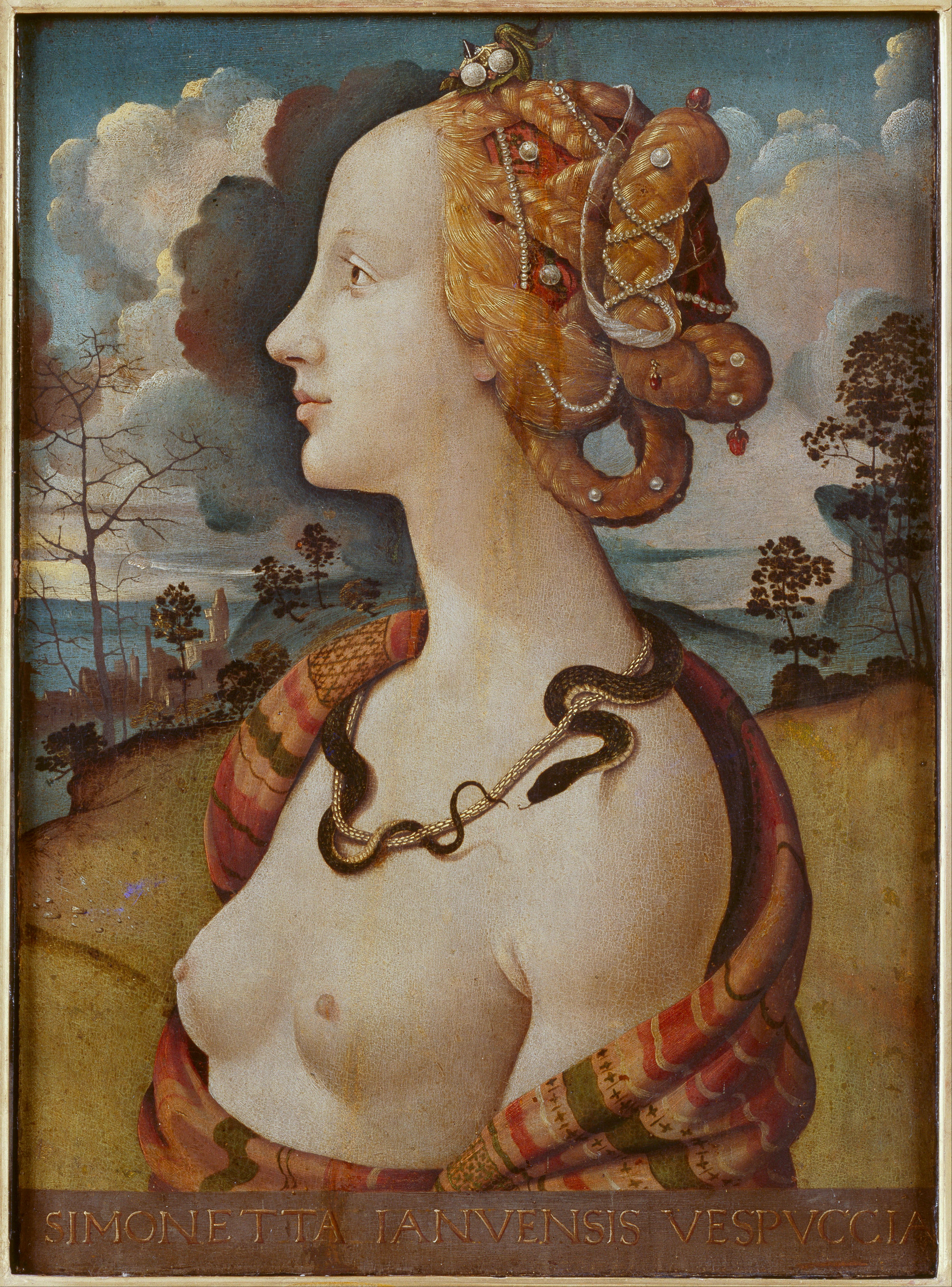 Portrait of Simonetta Vespucci